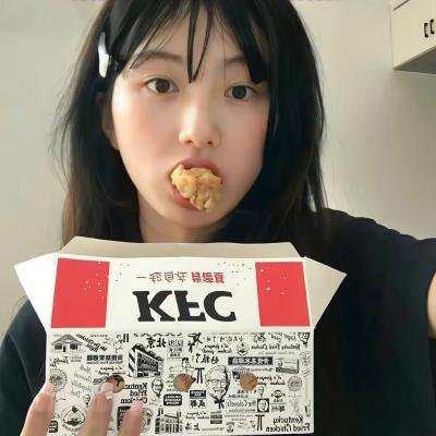 飞行员呆呆鸟